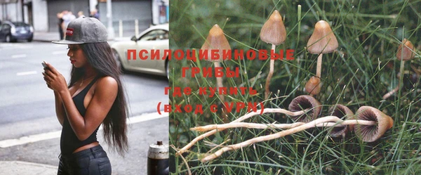 МДПВ Магадан