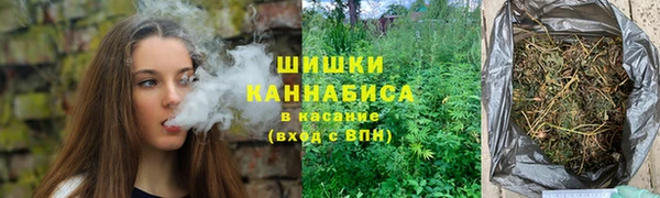 ПСИЛОЦИБИНОВЫЕ ГРИБЫ Алагир