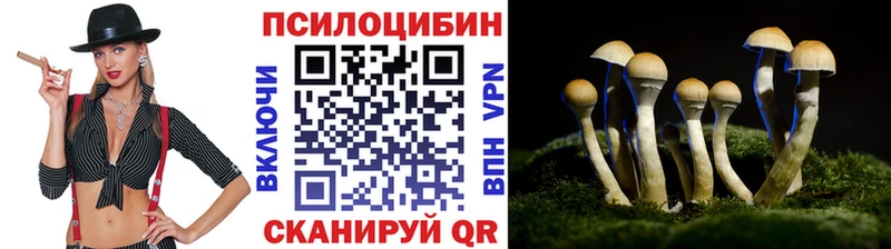 Галлюциногенные грибы MAGIC MUSHROOMS  хочу   Приволжский 